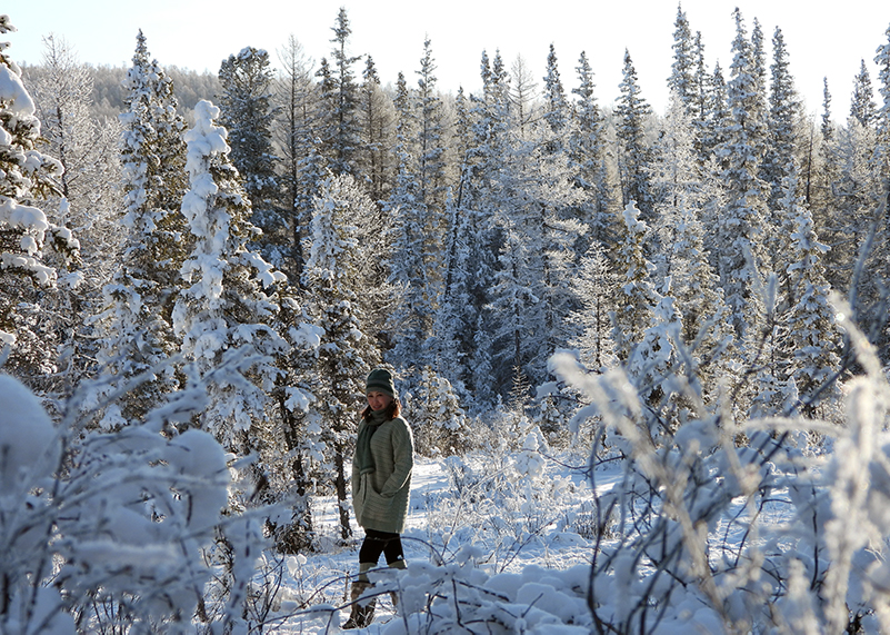 At winter forest in northern Mongolia